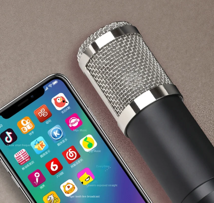 BM800 Condenser Microphone Kit - огляд і ціна Condenser Microphone Kit