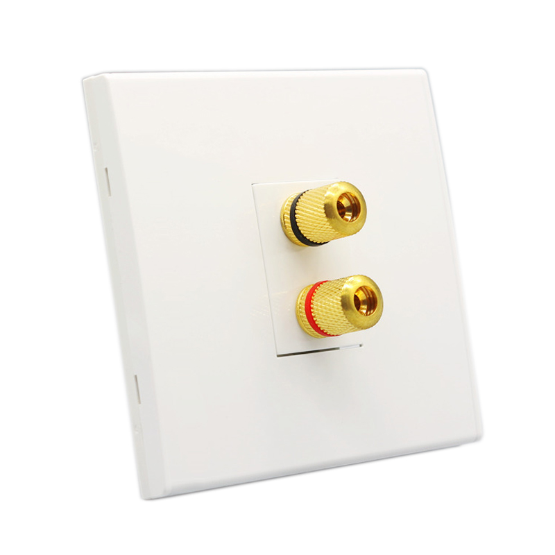 Audio Speaker Wall Panel Termi - огляд і ціна Banana Plug