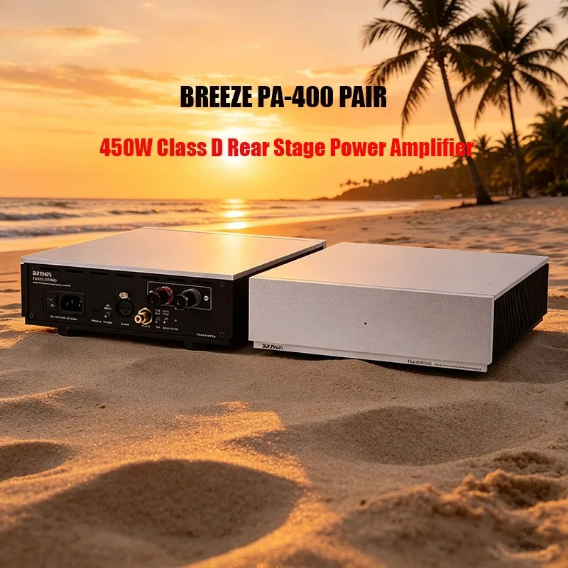 2026 New Material Weiliang PA4 - огляд і ціна Class D Amplifier