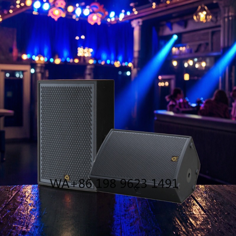 High Power Full Range Professi - огляд і ціна Full Range Speaker