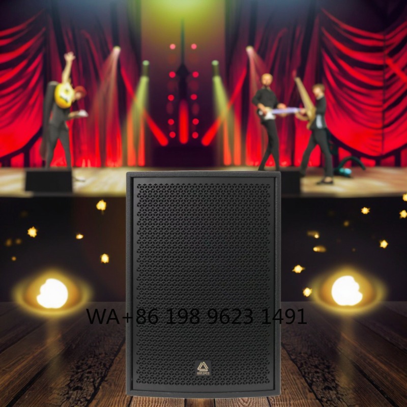 High Power Full Range Professi - огляд і ціна Full Range Speaker